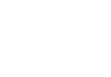 tiktok.logo